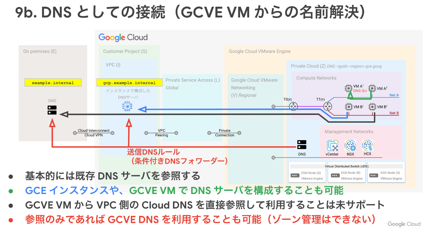 GCVE VM用DNS