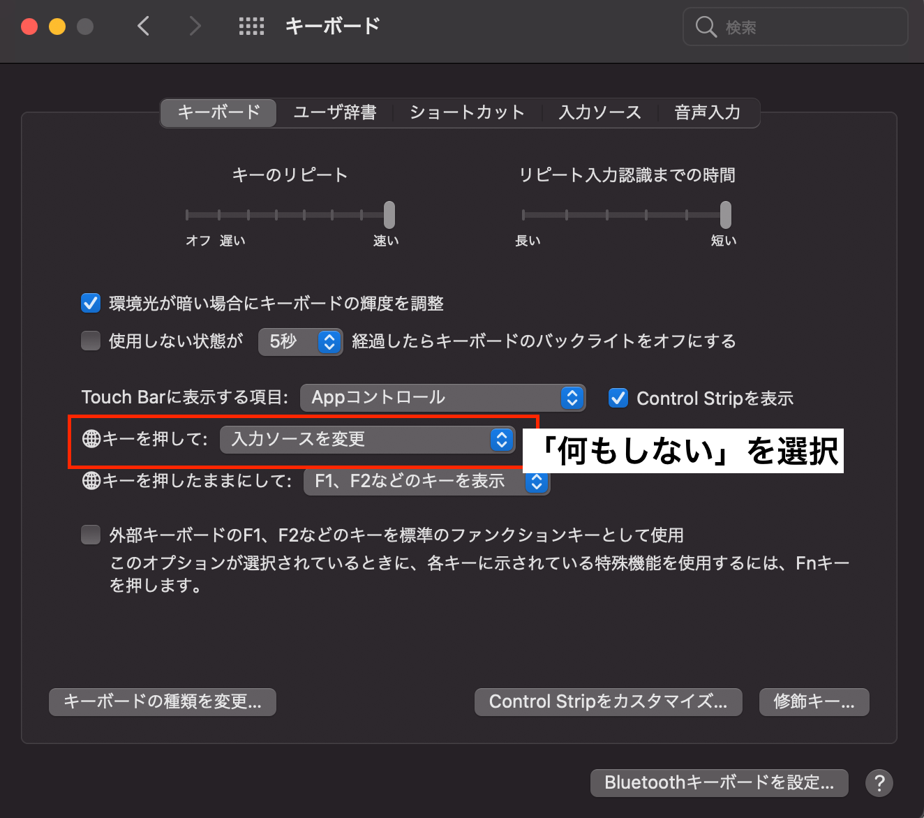 Big Surでfnキーを押すと入力ソース切り替えになるのを制限する