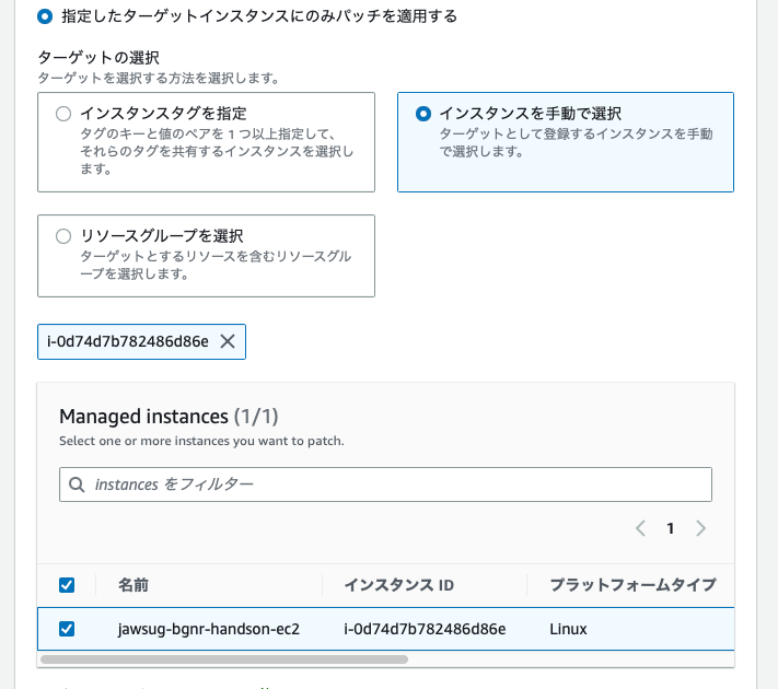 指定したターゲットインスタンスにのみパッチを適用する