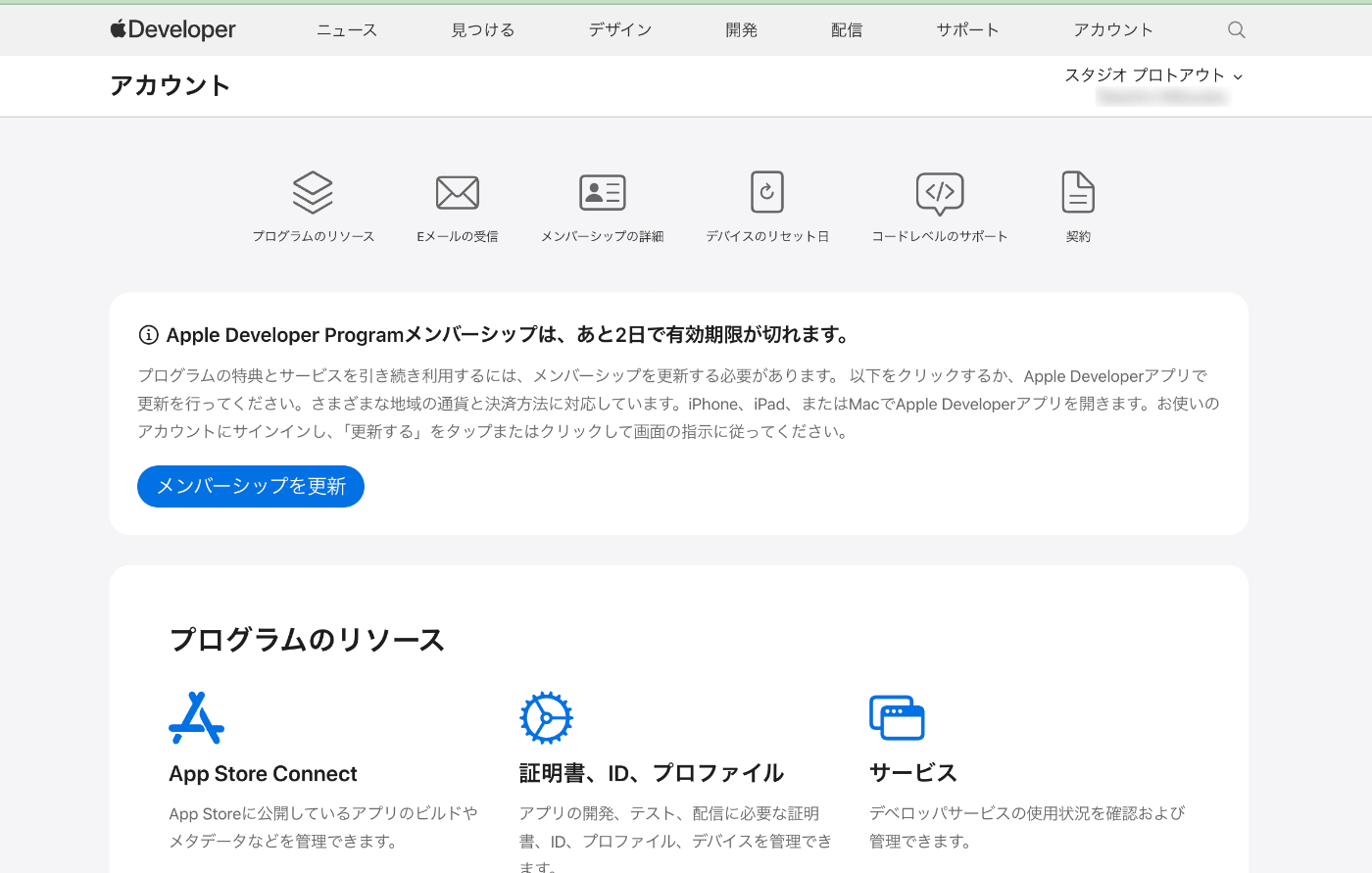 【レア】Apple Developer Group まとめ売り歓迎 Apple Developer Programのクレカ更新
