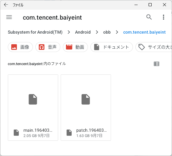 OBB ファイルが配置されたファイルブラウザ