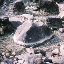 kotono