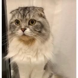 fumi