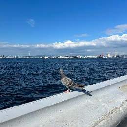 チェーオーをこよなく愛す者