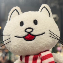Kosuke Takeda