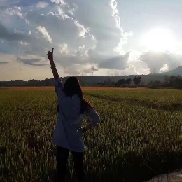 Dajing