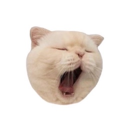 さとう