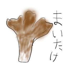 maitake