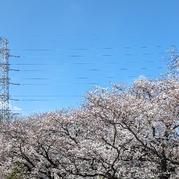 tetsufe