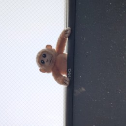 奥の院生