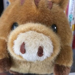 tsurukoo