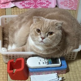 kona