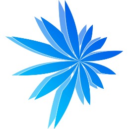 y-kashima