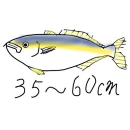 hamachi