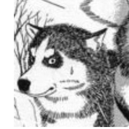 やるぞ