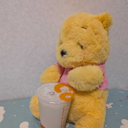 Victor Von Pooh