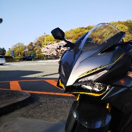 tatsuya.k