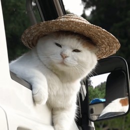 たまさかシステムズ