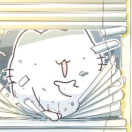 Koki