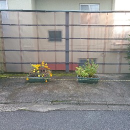 タカハシヒデアキ