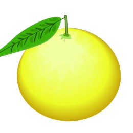 Nishikawa