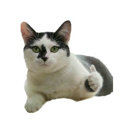 testkun08080