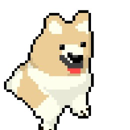 きくぴぃ