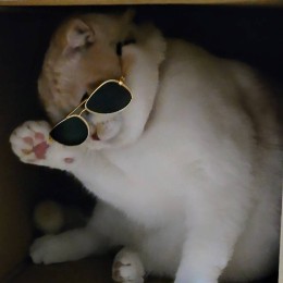 せな