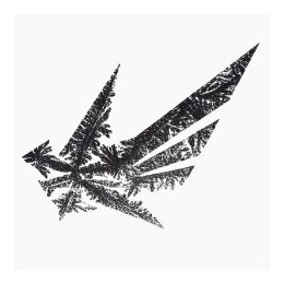 frost