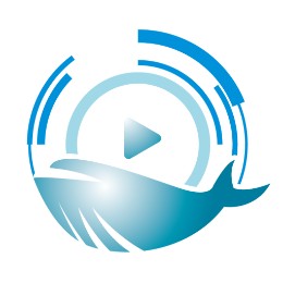 株式会社BALEEN STUDIO