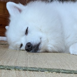 修行僧