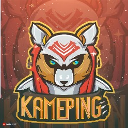 KamePing