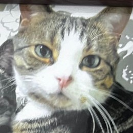 ねれ