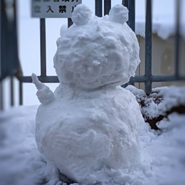 よわいかじゅま