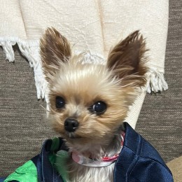 校長