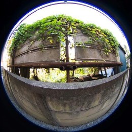 おさか