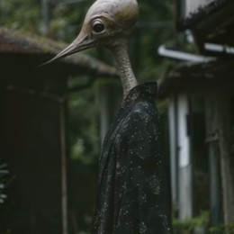 箱犬