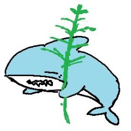 ささざめ