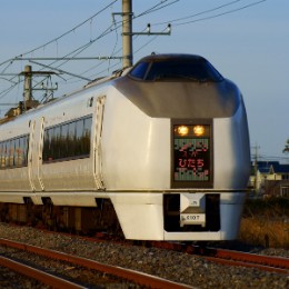 651