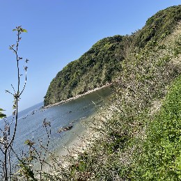 yanai