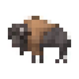 bison