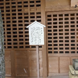 mocchi