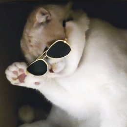 しゃけ