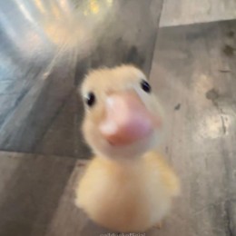 うる