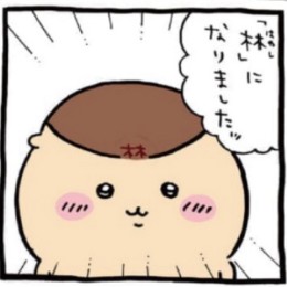 duora0406