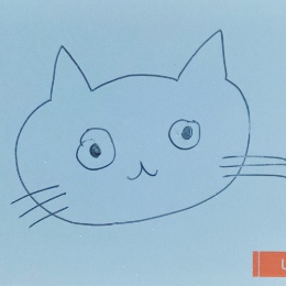 nonamecat