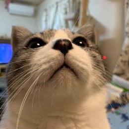 たくみん