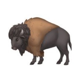 bison