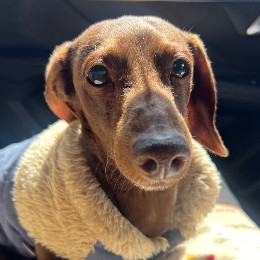 tully