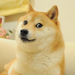 ろんちゃん